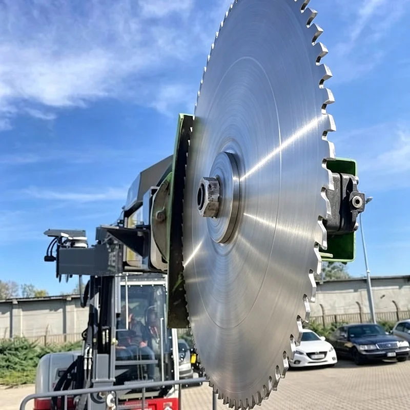 High Reach Pruning Saw